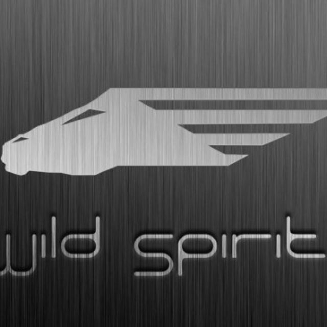 Wild Spirit