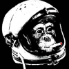 Rosmd