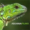 Iguana