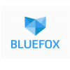 Студия дизайна Bluefox