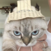 Ярослав Ключко