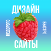Дмитрий Сорокин