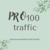 PRO100 TRAFFIC