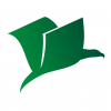Aksenow-Expert Consulting