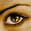Елена Легуша