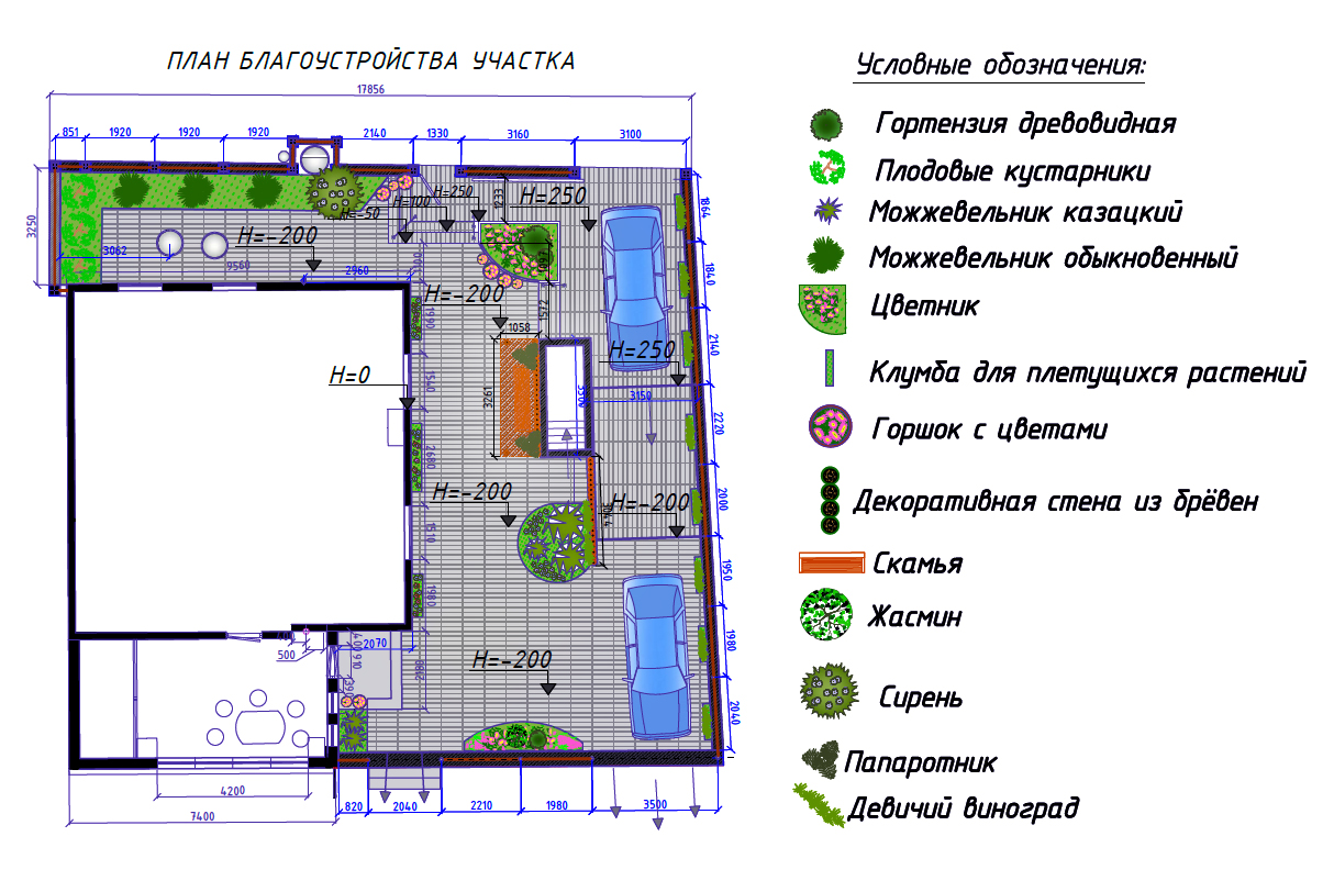 План интерьерного озеленения