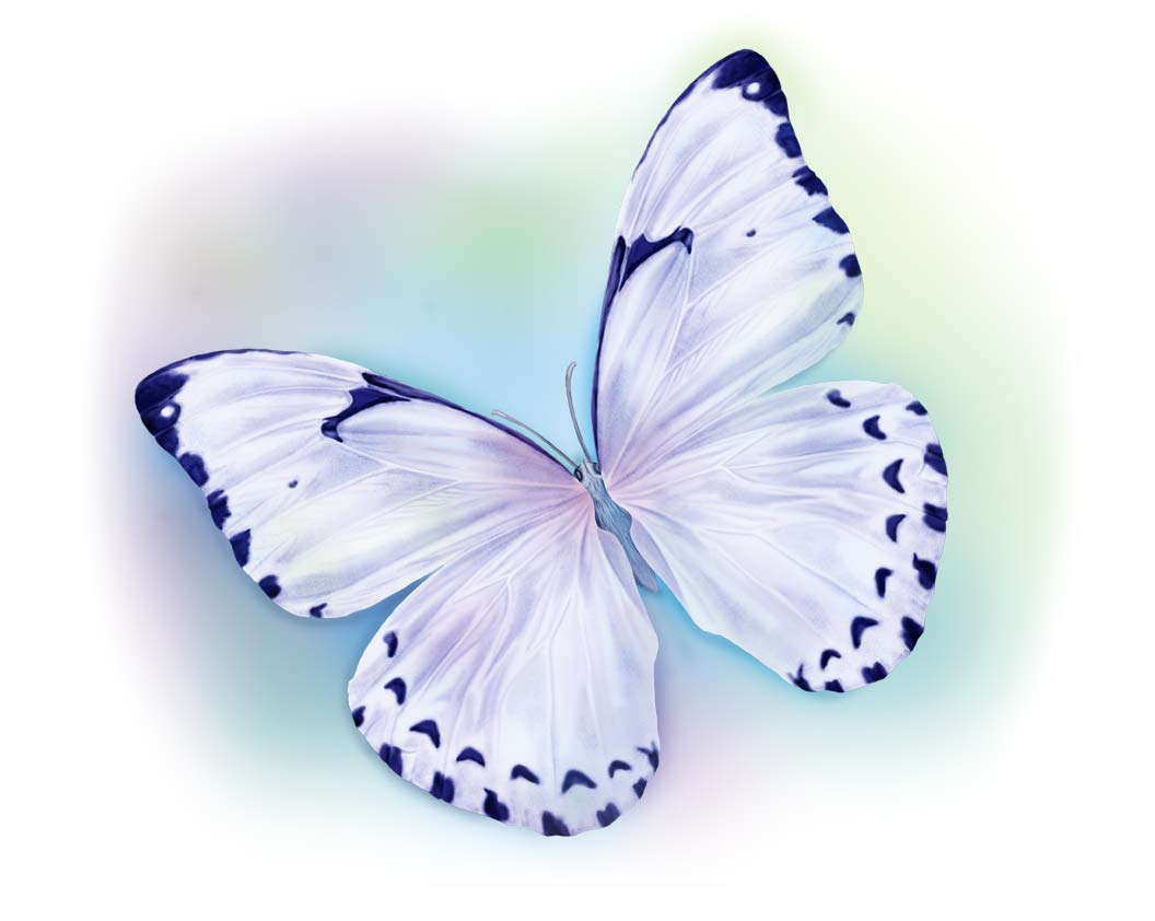 Бело голубые бабочки. Бабочки на белом фоне. Бабочка белая. Бабочки светло сиреневые. Маленькие бабочки.