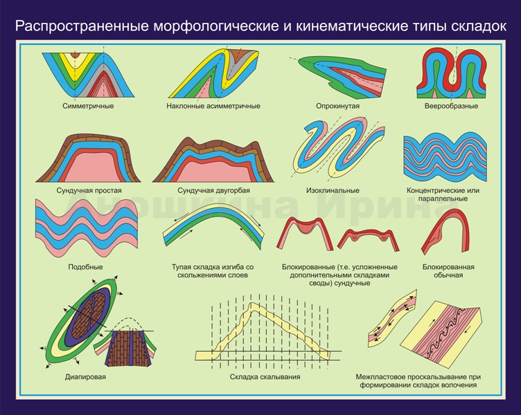 Сопоставьте элементы рисунка а б в г с типами складок по положению крыльев