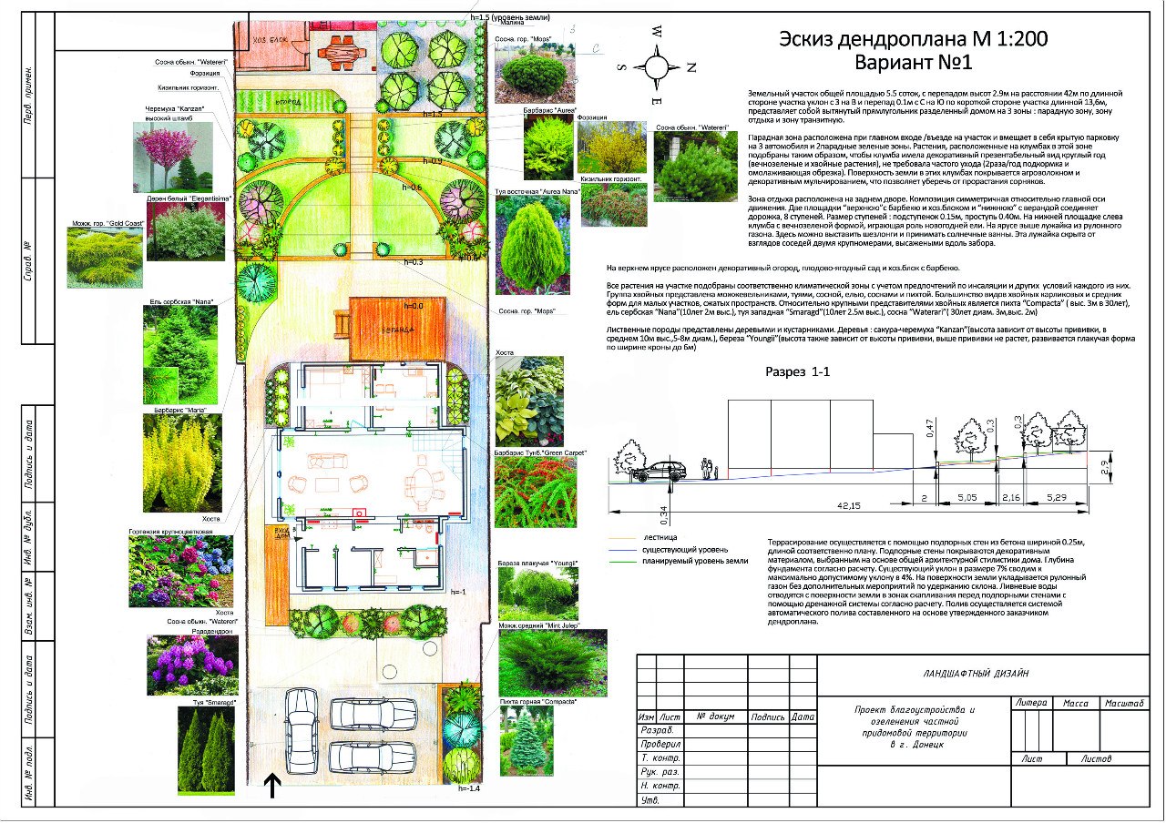 Проект благоустройства и озеленения придомовой территории диплом