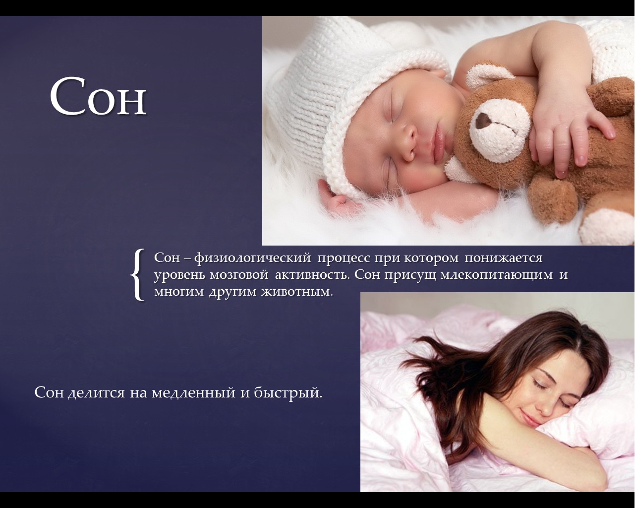 Проект по биологии 9 класс на тему сон и сновидения