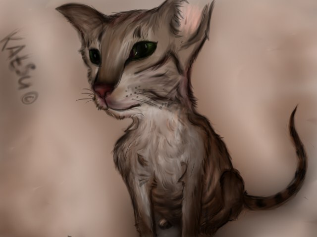 Как нарисовать кота ориентала