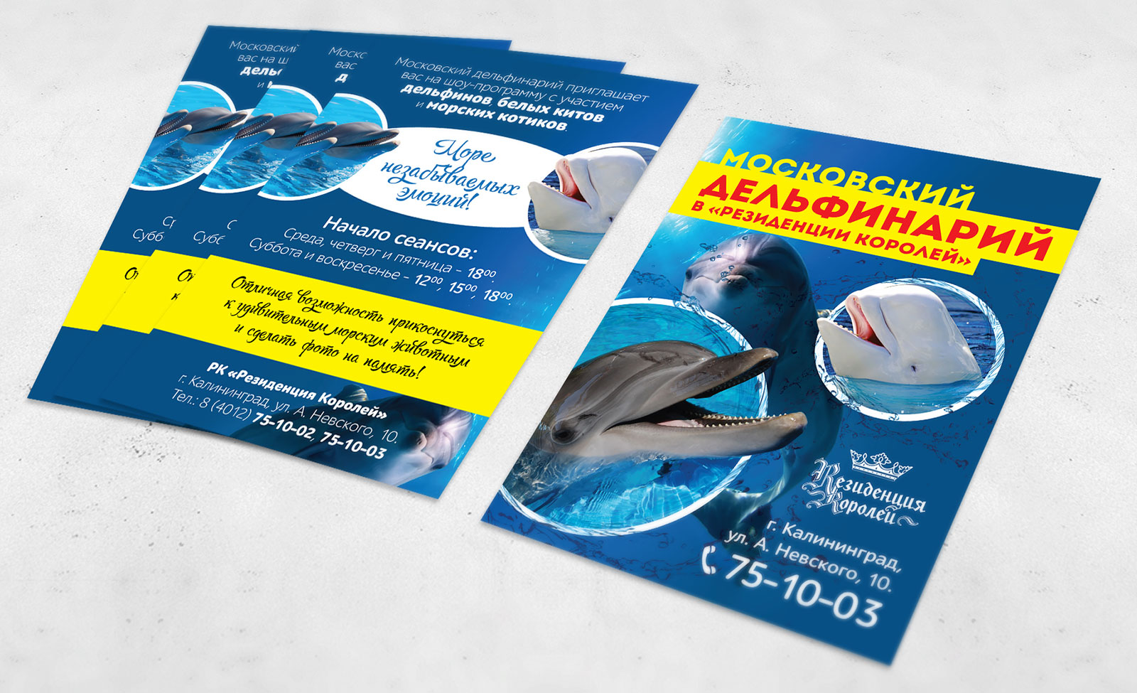 Билеты в дельфинарий москва