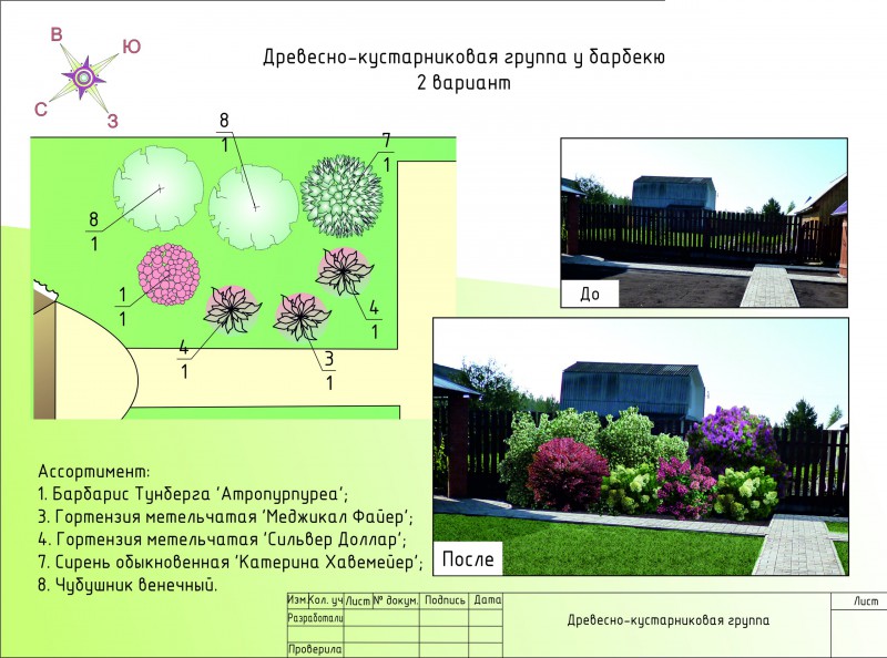 Группа древесно кустарниковых растений