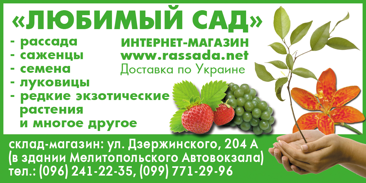 Купить Саженцы Екатеринбург Интернет Магазин