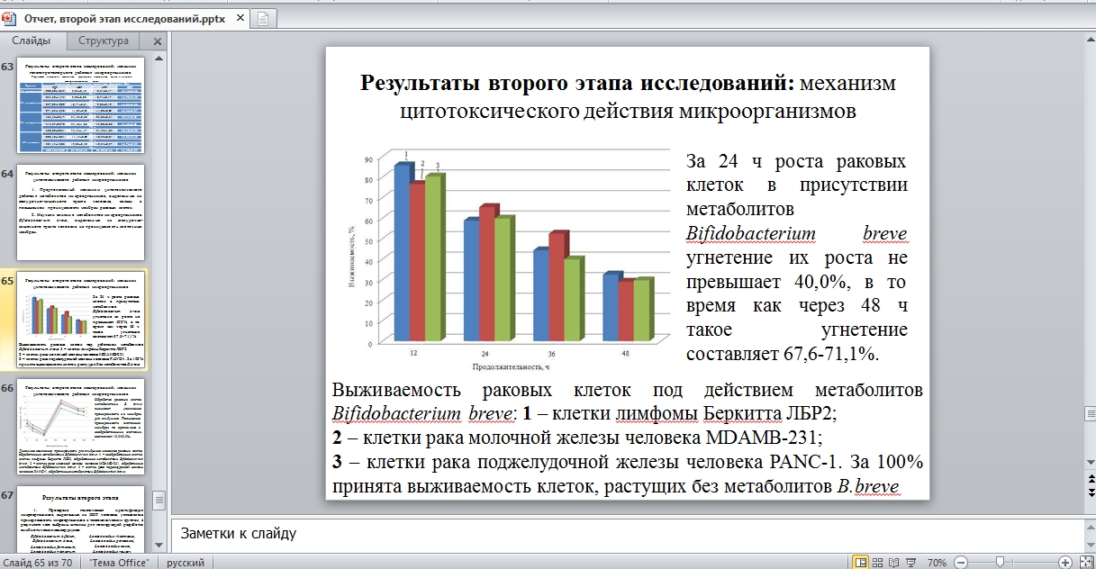 Отчет по презентации образец