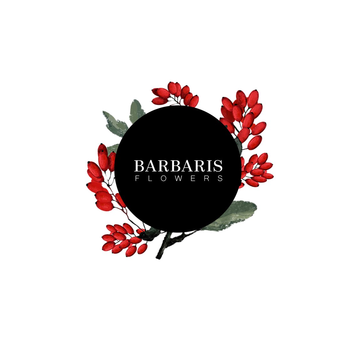 Барбарис логотип