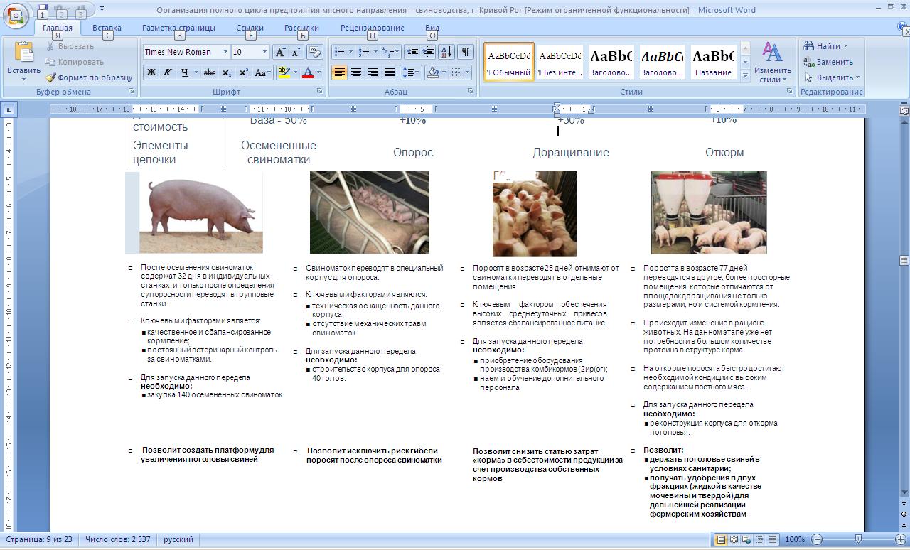 Свиноводство бизнес план