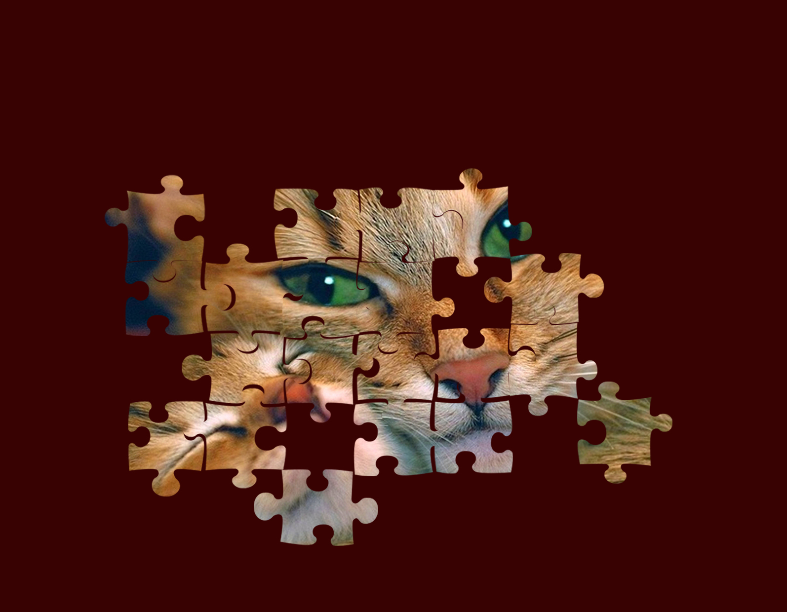 Puzzle action. Пазл для психов. Пазлы для дизайнеров. Эффект пазла в фотошопе. Самые сложные пазлы.