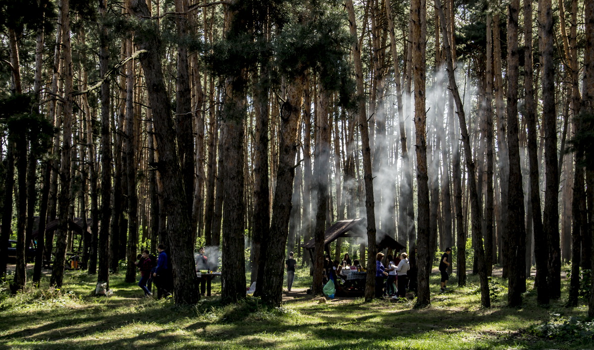 Беседки в пикник парке белгород фото