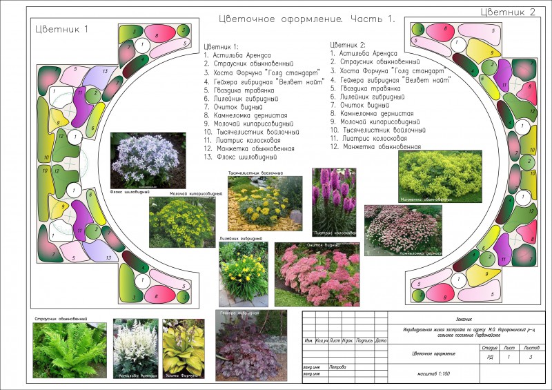 Проекты клумб и цветников со списком растений