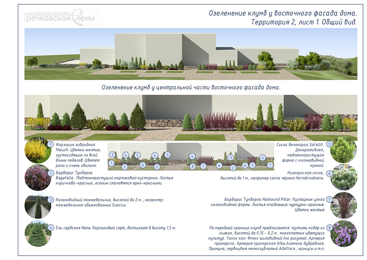 3d-проект озеленения усадьбы. Тверская обл. - Фрилансер Елена ...
