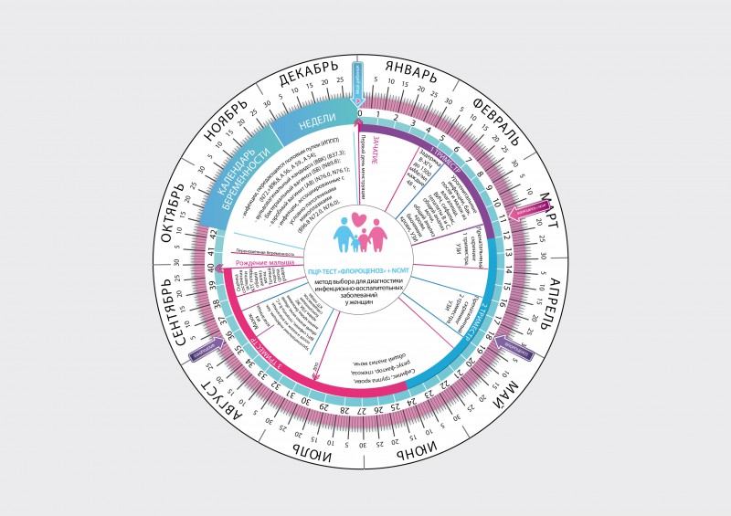 Календарь срока беременности. Круг для расчета срока беременности. Календарь беременности круглый. Акушерский календарь беременности круглый. Круглый календарь для беременных.