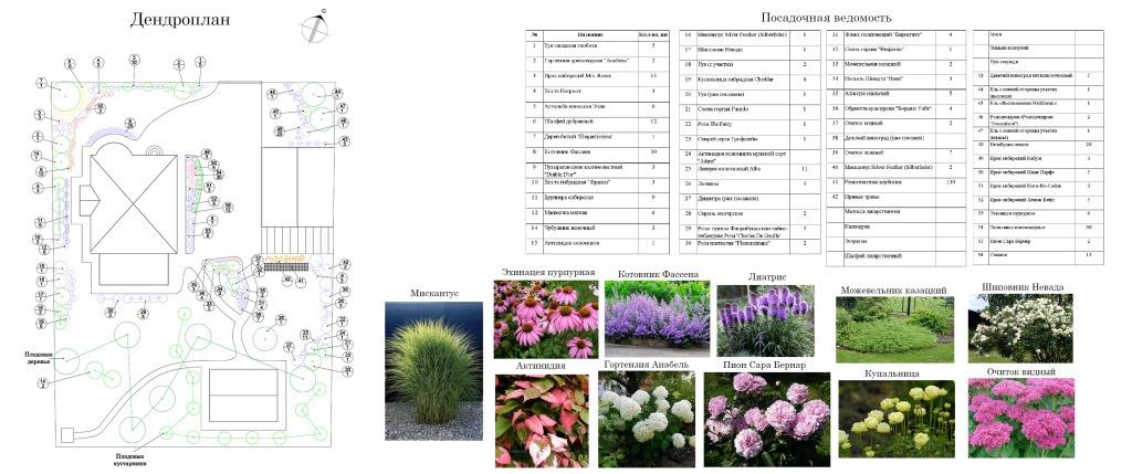 Посадочная ведомость в ландшафтном дизайне