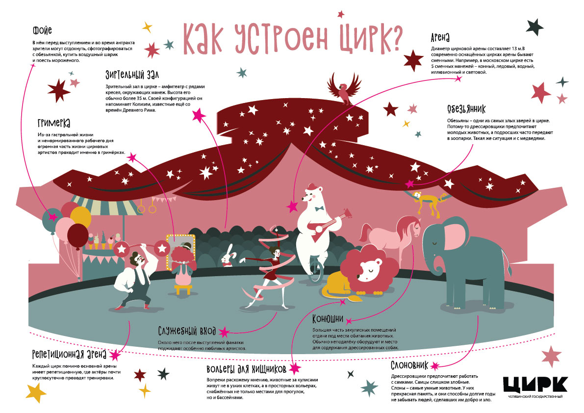 Как устроена моя жизнь
