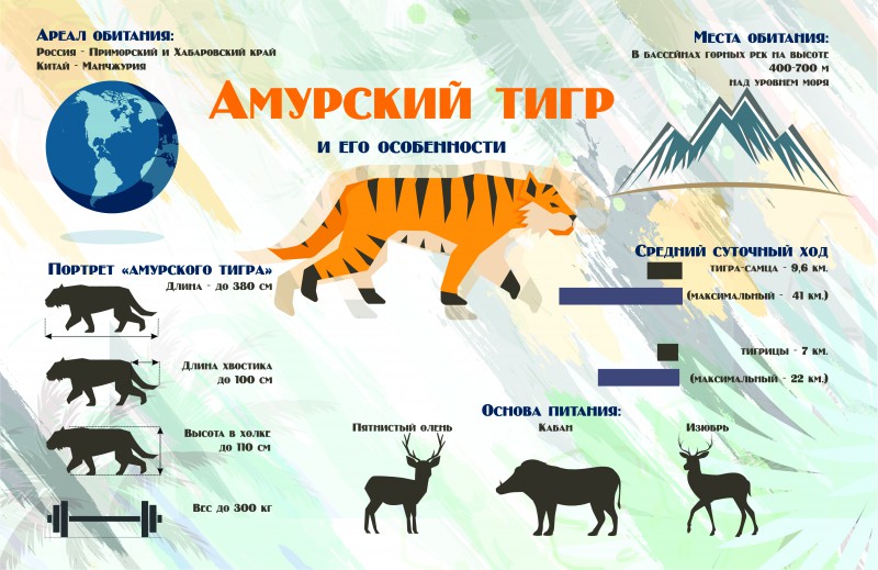 Карта обитания тигров в россии