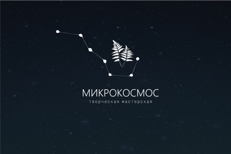 Микрокосмос. Логотип творческой мастерской. Логотип творческой студии. Обои microcosmos. Арты microcosmos.