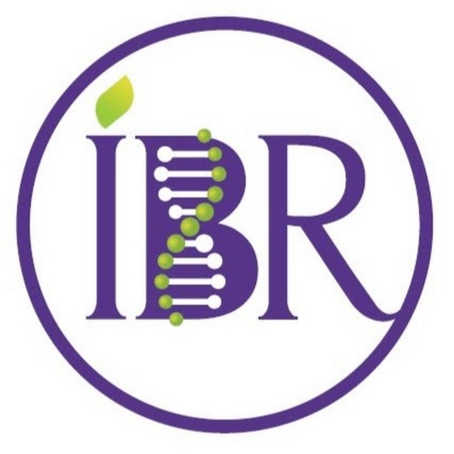 Ибр ран. ИБР логотип. Исламский банк развития (ИБР).. ИБР. IBR logo.