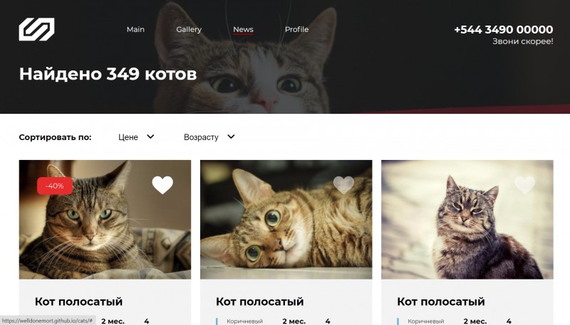 Cats site. кот. Cats site. Cats site. изображение кошки.