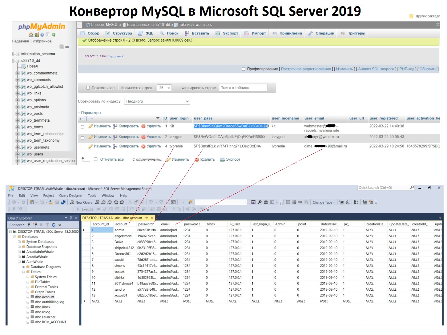 Конвертор базы MySQL в Microsoft SQL Server 2019 учётных записей