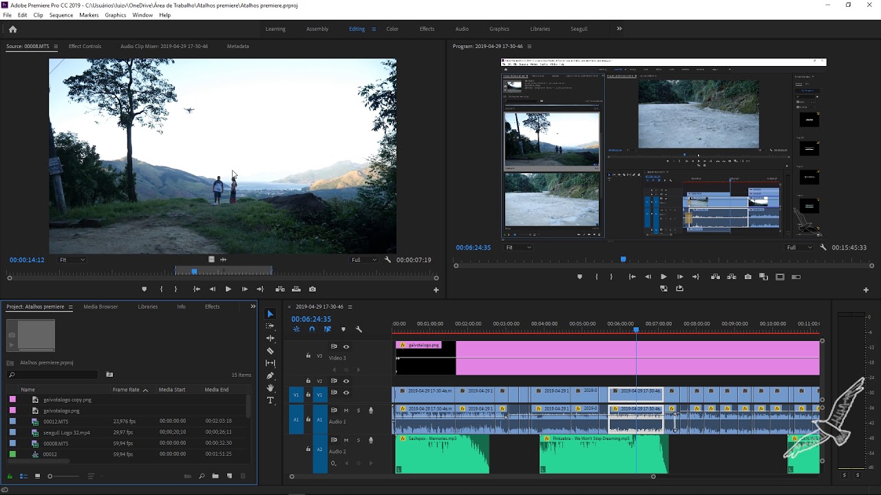 Программа монтажа adobe premiere