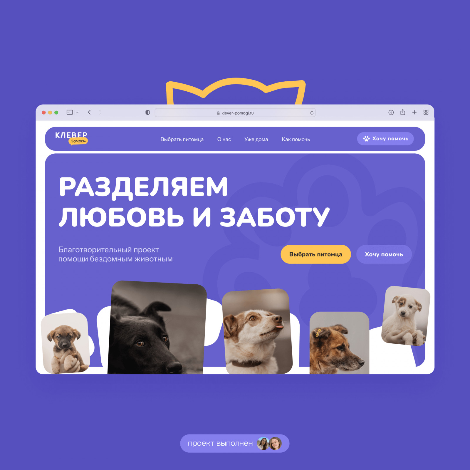 Сайт для проекта помощи бездомных животным «Клевер помоги» - Фрилансер  Мария Антипина maryantlee - Портфолио - Работа #4542625