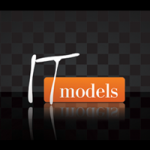 IT-models