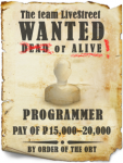 Wanted programmer