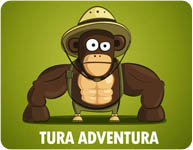adventure monkey
