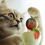   "One Cat, One Fruit, One Clock".   