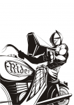 Rider ( )