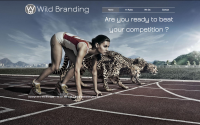  Wild Branding -     -