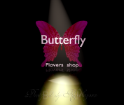 -Butterfly