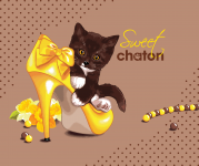 Sweet Chaton