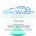   "WikiWash"