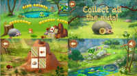 Woodland Games for kids with memory cards