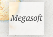     "Megasoft"