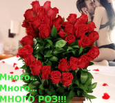   podari-cvety.ru