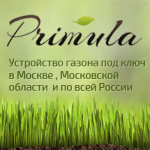 ¸  " Primula"