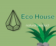  Eco House