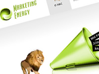 Marketing Energy. 2013 .
